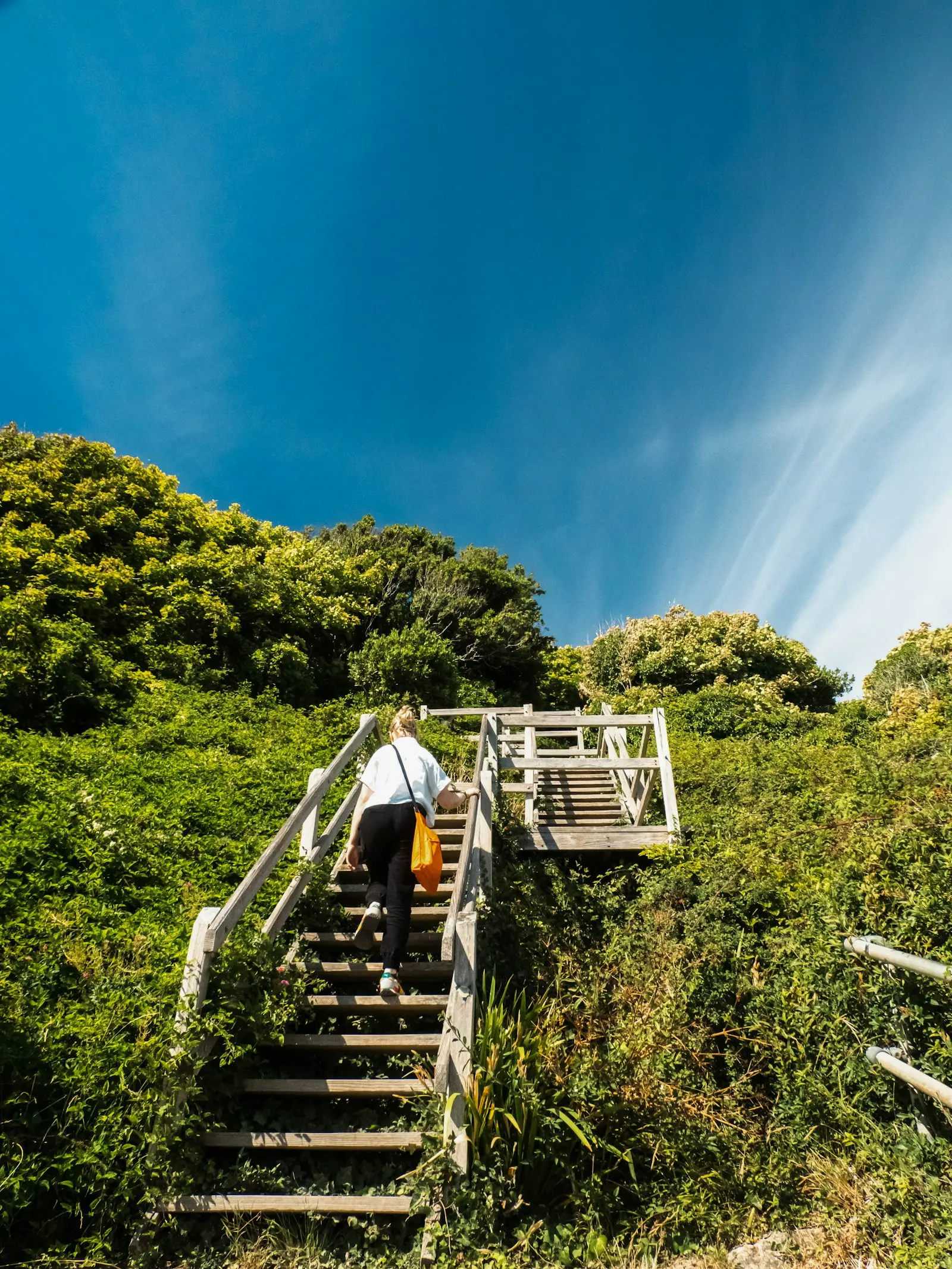 Someone climbing wooden steps towards a wide blue sky at Ventnor, Isle of Wight